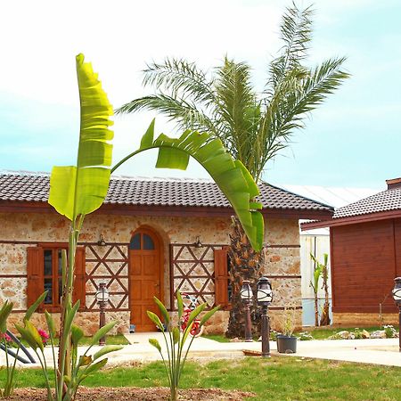 Sedir Park Bungalow Hotel ماهموتلار المظهر الخارجي الصورة