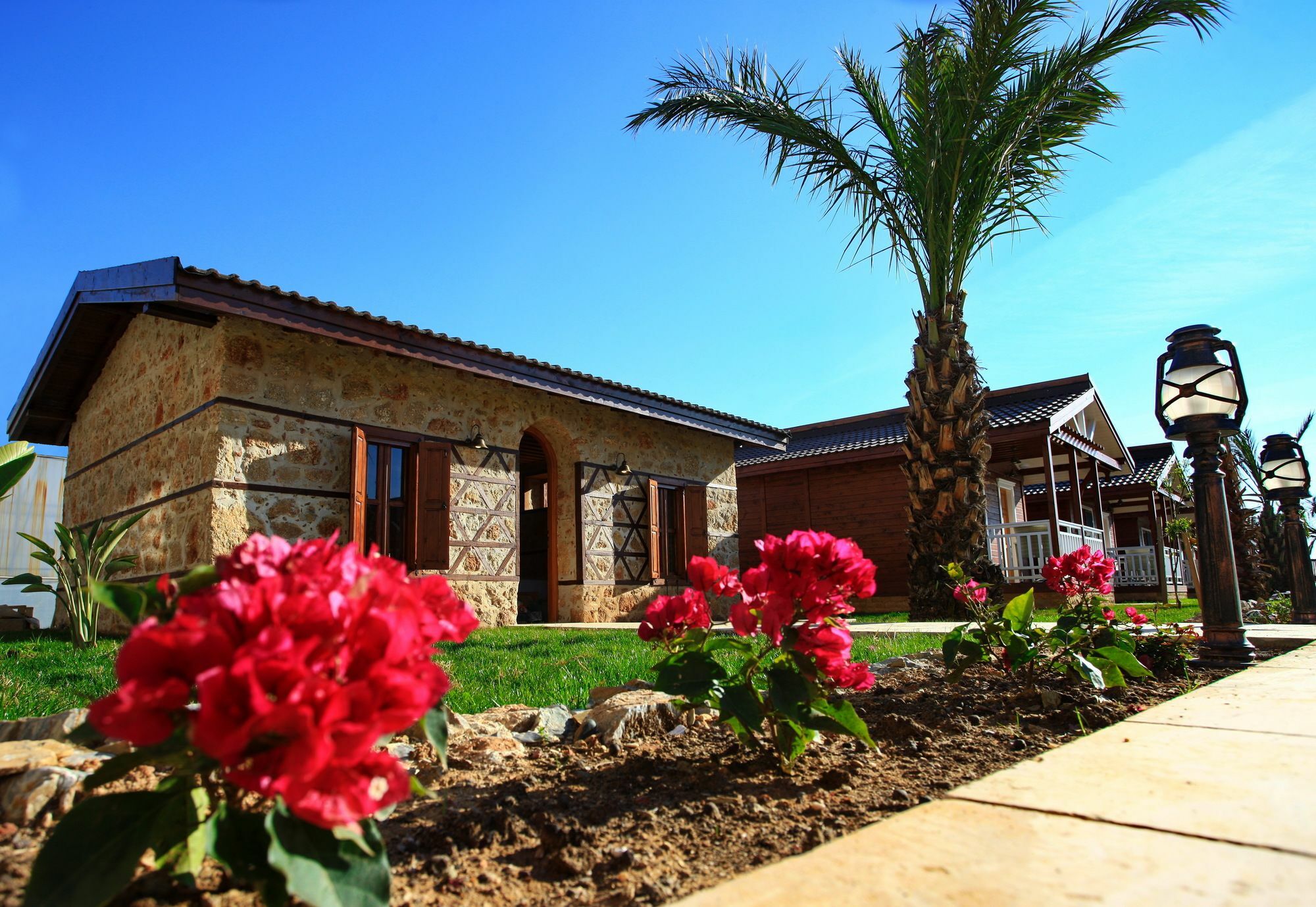 Sedir Park Bungalow Hotel ماهموتلار المظهر الخارجي الصورة